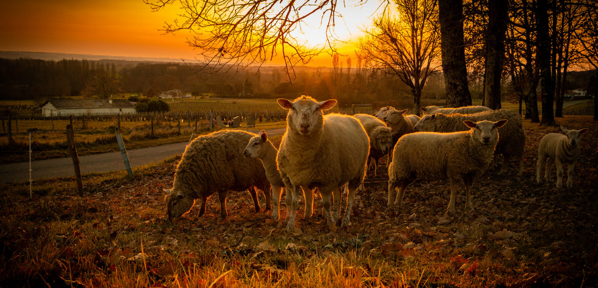 Gironde